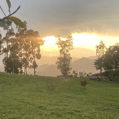 TozalaC's profile picture. Congolais positif