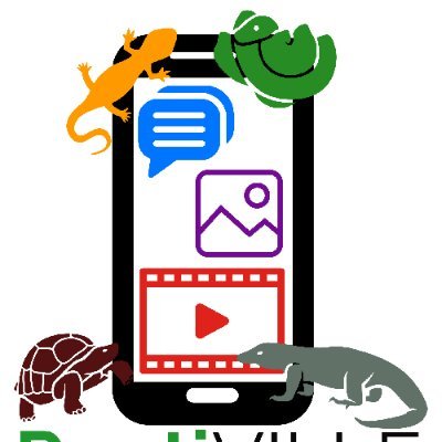 ReptiVille's profile picture.