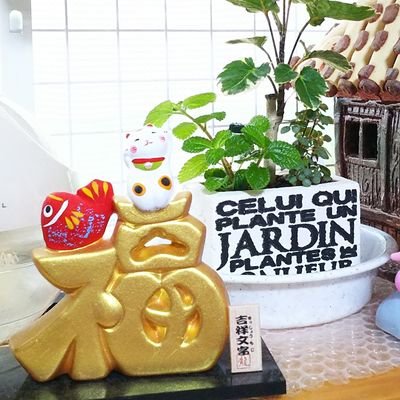 hapirun25250's profile picture. 趣味▶ゲーム大好き🥰あつ森🌳スイカ🍉ゲームにハマっています🤭読書も好き📖✨好きな事をしながら毎日笑顔で楽しくをモットーに🎶無言フォロー大歓迎です🙌よろしくお願い致します😳🩷