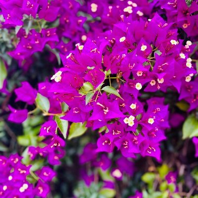 DocRandom123's profile picture. I am a woman and I live in hope ❤️🥰❤️