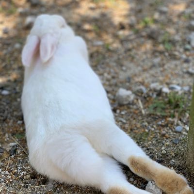 chahami6's profile picture. 