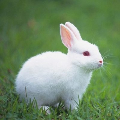 LiveFree131's profile picture. 