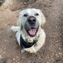 Katherine Arnett - @arnettsb - Twitter