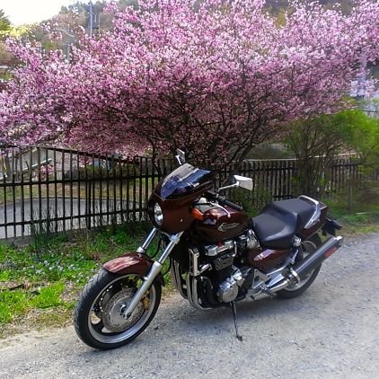 長野県の中信地区に在住🌏️バイクがメインですが、景色や食べ物もツイートします🎵無言フォロー失礼します。バイク関連は基本フォロバします👍️峠ステッカー集めもやってます🎶DSC400→ホンダX4春夏秋はバイク🏍️、冬はスノボー🏂️をボチボチやってます。仲良くしてください🤓