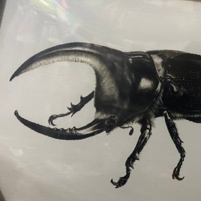 taragon04@Scratch Crew