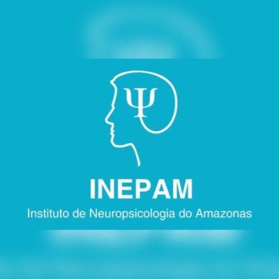 INEPAM Profile