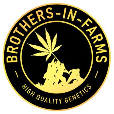 BIF is a community of 250+ Cannabis Breeders, Growers and like minded Enthusiasts Our posts are automatically generated from our community NFS
https://t.co/exdcKppRGT
