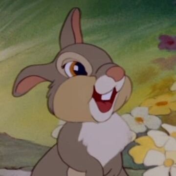 ringinto's profile picture. 