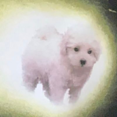 mako._.lamさんのプロフィール画像