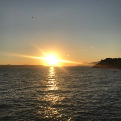 bartoonek's profile picture. 