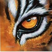 CHS Advanced PE (@chs_advpe) 's Twitter Profile Photo CHS Advanced PE (@chs_advpe) 's Twitter Profile Photo