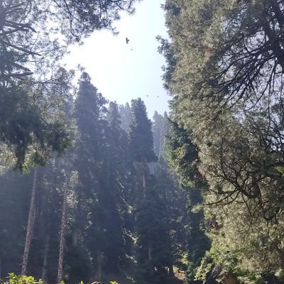 history_2K21's profile picture. 🏏🌍    🏐⚽🏈🏉🏸🏑