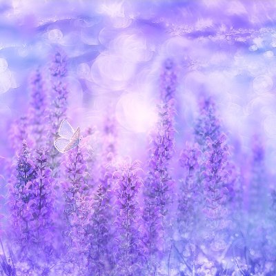 blakaj_arjana's profile picture. 