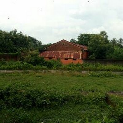 TPTechPrince1's profile picture. BRO IS PRO