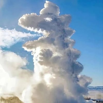 PSGLGD_TI10's profile picture. 