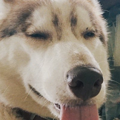 l_orientalist's profile picture. Space. Design + Authenticity. 7.0