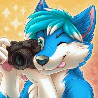 Rollar Wolf(@rollarwolf) 's Twitter Profile Photo