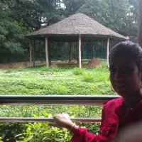 Shalini (@shalini_writes) 's Twitter Profile