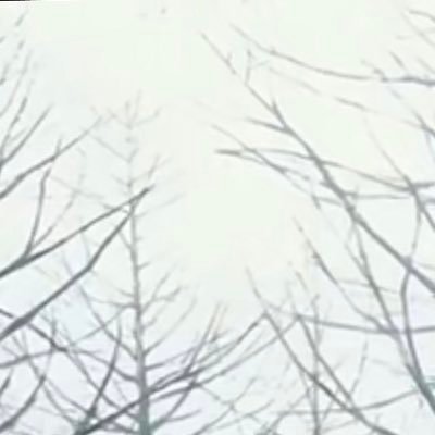 無糖さんのプロフィール画像