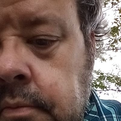 AmherstNitz's profile picture. De gustibus non disputandem