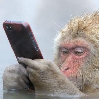 deschadul (@deschadul) 's Twitter Profile Photo