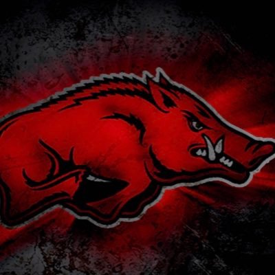 Die hard hog fan till the day i die🐗🐗🐗
I’m a Electrcian from Eastern Arkansas.