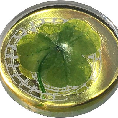 B10B1's profile picture. 