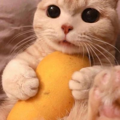 marielaphoniex's profile picture. 