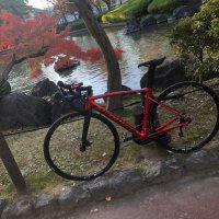 ハルヒ🐜 (@ha_lu_0427) Twitter profile photo