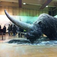 Gil (@calvari666) 's Twitter Profile