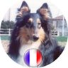 lamascotte1's profile picture. De droite affirmée 🇫🇷 ! La France se meure !
Hélas mes descendants sont en danger à cause de MACRON

Compositeur-interprète.