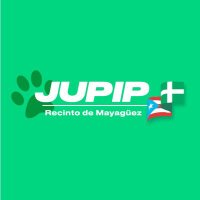 JUPIP RUM (@jupiprum) 's Twitter Profile