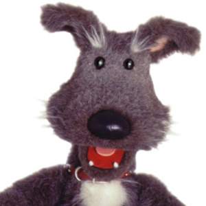 ruffusthedog's profile picture. 