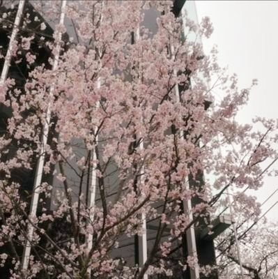 スカイさんのプロフィール画像