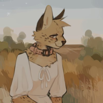 snoさんのプロフィール画像