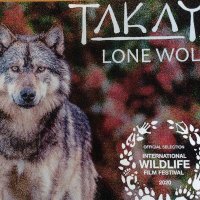 CujoCoyote (@w54645887) 's Twitter Profile