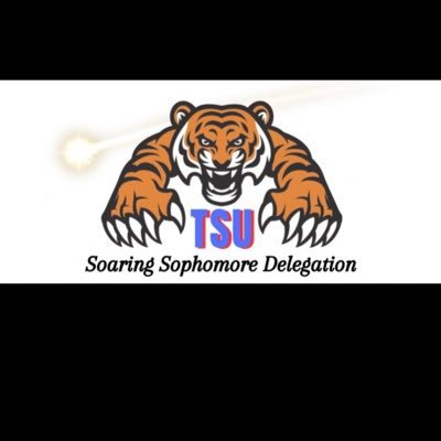 Hey TSU! The Sophomore Delegation finally made a Twitter. Can’t wait to connect with you all💙