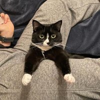 main slayer (@suzecore) Twitter profile photo