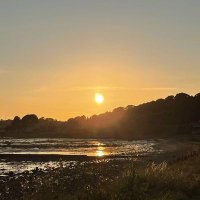 gman (@g_christison) 's Twitter Profile