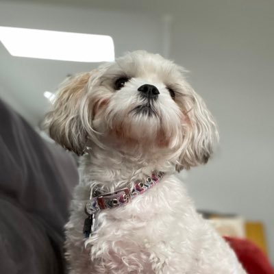 squid_74's profile picture. 