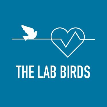 The Lab Birds