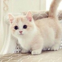 e (@clcshua) 's Twitter Profile