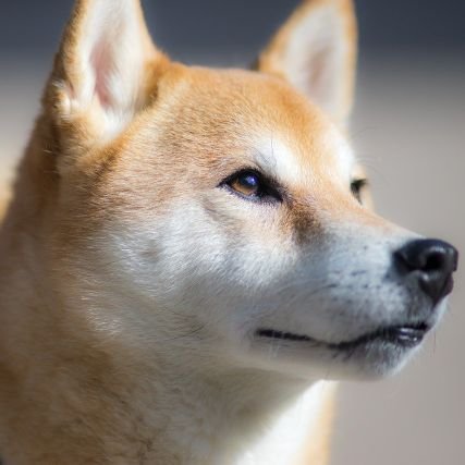 arandia_ralph's profile picture. 