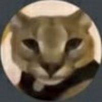 Richard Van der wal (@richard21332128) 's Twitter Profile