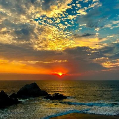 mariellamiranda's profile picture. 