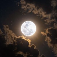 ٰ (@5yaa_) Twitter profile photo