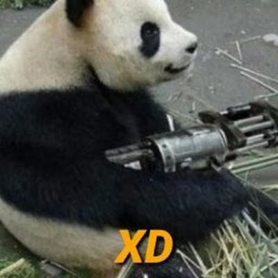 Me is a Panda :3