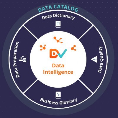 DvSum makes it effortless for everyone in your organization to discover, understand, and trust data, to extract reliable insights