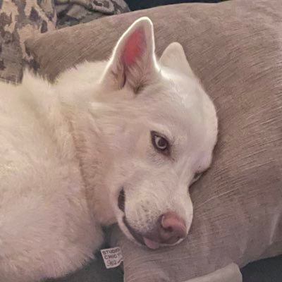 Megan_Elyse_'s profile picture. KSU. I have constant delusions of adequacy