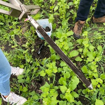 soilawareness's profile picture. Abby Spore, Maddie Eppard, Natalie Danzl, Peter Edlund